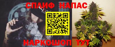 прущие грибы Малгобек