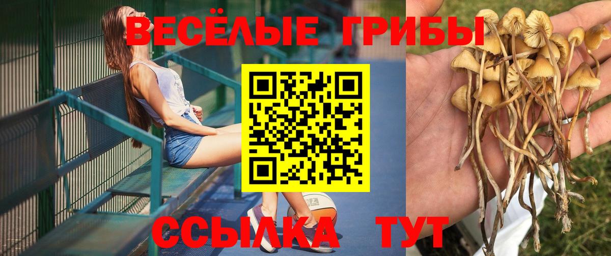 Галлюциногенные грибы мухоморы  Вход с VPN  Галлюциногенные грибы ЛСД  Сыктывкар 